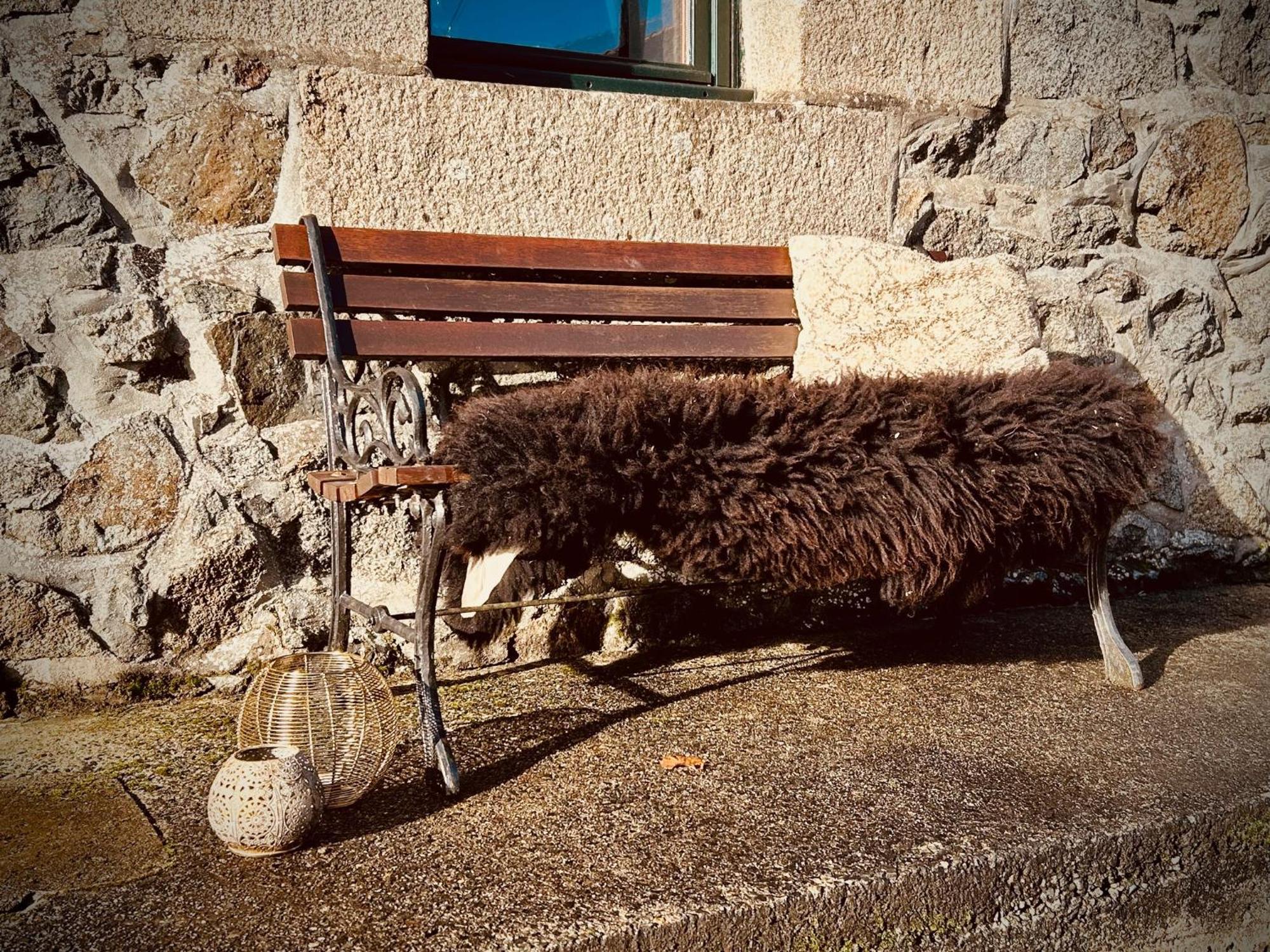 Domaine Armorica Βίλα La Chapelle-Neuve  Εξωτερικό φωτογραφία